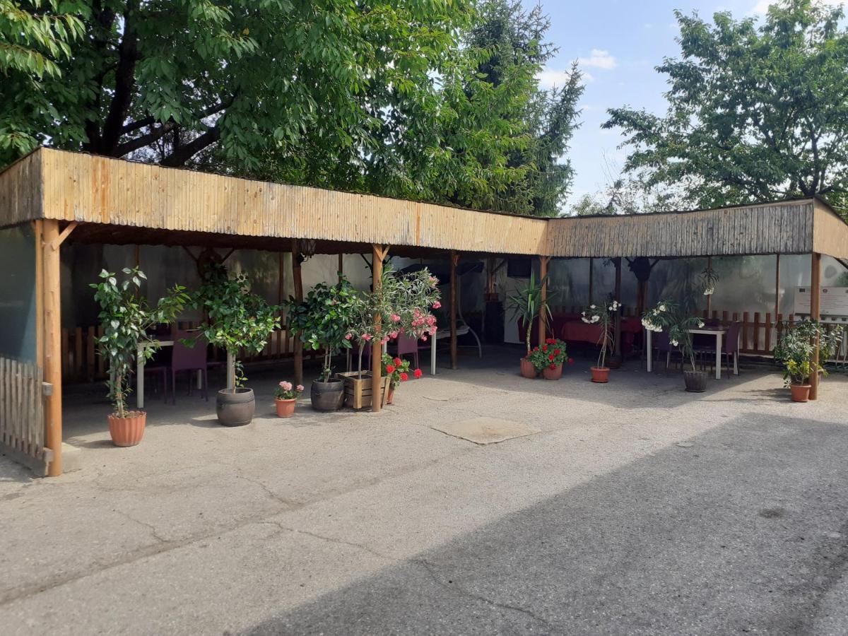 Guest House Edelvais Dwie Mogiły Zewnętrze zdjęcie