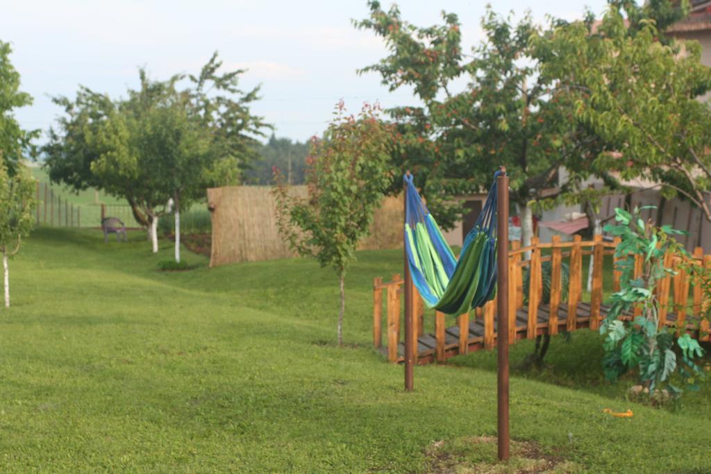 Guest House Edelvais Dwie Mogiły Zewnętrze zdjęcie
